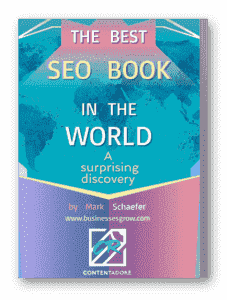 Seo Book In The World