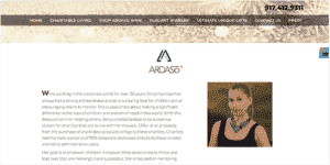 Ardaso Website